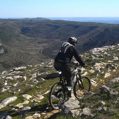 招待所 A Casa Da Serra - Local Casal Velho
