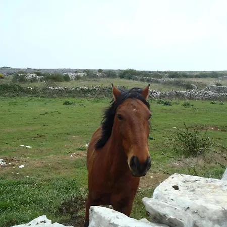 A Casa Da Serra - Local Penzion